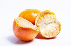 Frozen Orange from 태국 supplied by In Season Foods Ltd. - As per customer's request 신선 오렌지