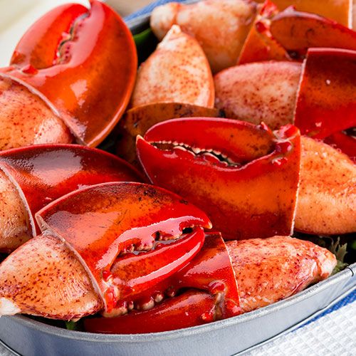 Frozen Cooked Lobster Claws from 아랍 에미리트 연합국 supplied by East Coast Seafood, LLC - Claws Only 신선 랍스터