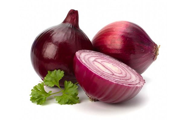 RED ONION from 브라질 supplied by EXPOIM Comércio Exterior - Red 신선 양파