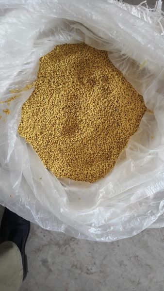Bee Pollen from 우간다 supplied by The Hive Limited | Uganda - Yellow 벌 화분
