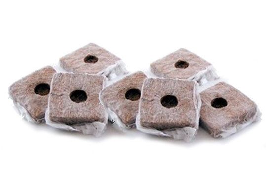 Grow Cubes from Sri Lanka supplied by Zahra International Impex - Organic Coco Coir