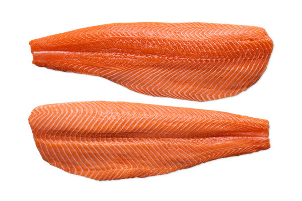Fresh Salmon from Norway supplied by HOFSETH INTERNATIONAL AS - IVP (Individually Vacuum Packed) Salmon