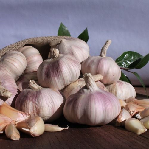 Fresh Garlic from Chile supplied by Onizzo Exportaciones Ltd. - Carton Box (=Cardboard Box) Fresh Garlic