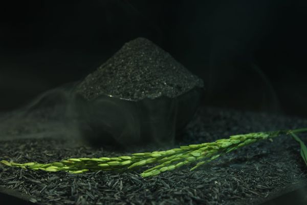 Rice husk ash from 인도네시아 supplied by PT. Pusaka Dominari Global - Organic 왕겨