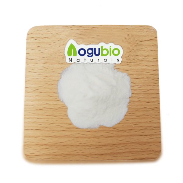 Aloe Vera Extract Powder from 중국 supplied by Xian Nahanutri Biotech Co., Ltd. - Extract 알로에베라