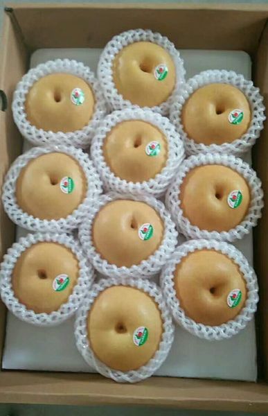 Pear from 중국 supplied by Beijing Feng Shen International Trade Co., Ltd - Whole 신선 배