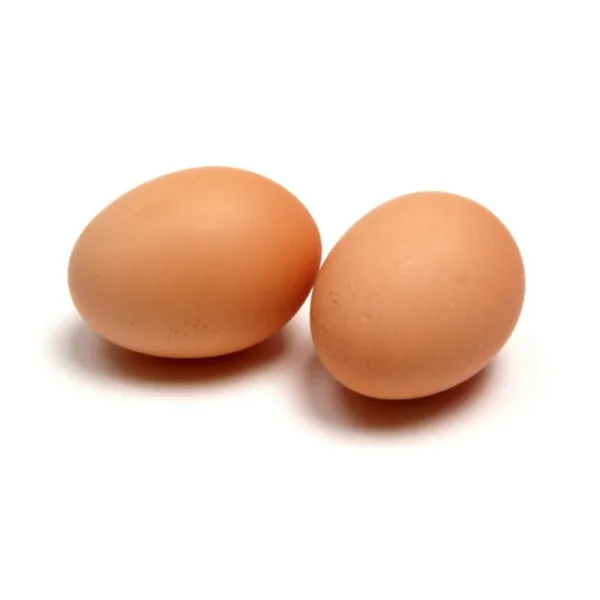Free Range Egg from Belgium supplied by Hof ter Lint - Free-range Chicken Egg