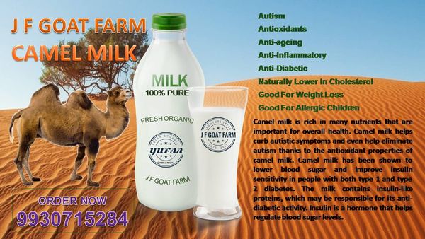 Camel Milk from 인도 supplied by J F GOAT FARM - 3 낙타유