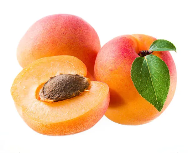 Fresh Wonder Cot Apricot from 그리스 supplied by PATIKAS AP. - CHATSIOS V. OE - Wonder Cot 신선 살구
