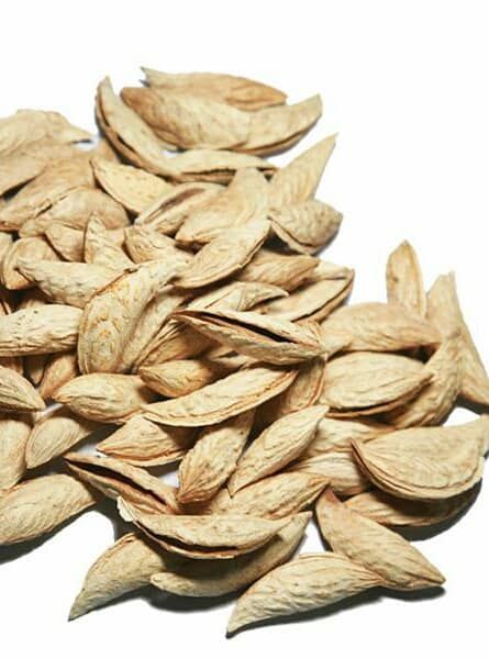 Almond from Afghanistan supplied by Ababil Naseri Trading Company - Soft Shell Almond Kernel