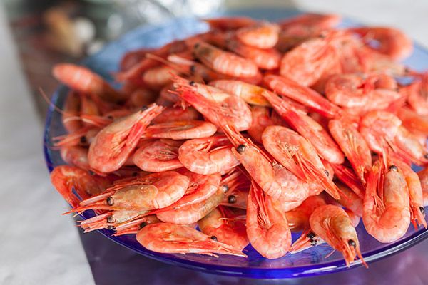 COOKED PRAWNS from 영국 supplied by Holmes Seafood Ltd - Cooked (Not Frozen) 냉동 새우