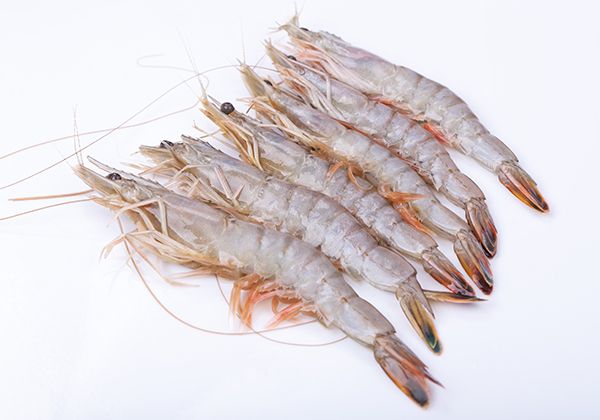 Frozen Prawn from 중국 supplied by Dandong Taihua Foodstuff Co.,Ltd. - Shell On (=Unpeeled) 냉동 새우