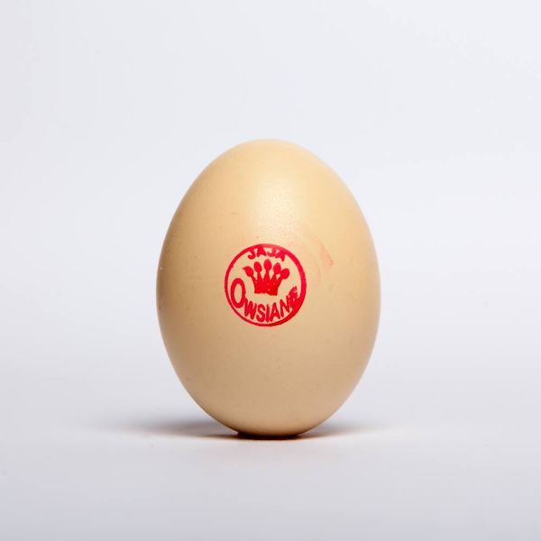 Egg from 폴란드 supplied by Grotek Bracia - Whole Egg 달걀