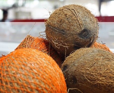 Coconut from 도미니카공화국 supplied by Amr Agro Srl - Unspecified 기타 신선 코코넛