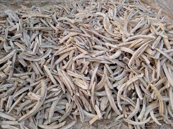 Dried Plantain from 나이지리아 supplied by Kuntry Agri-Farm - Dried 말린 플랜테인