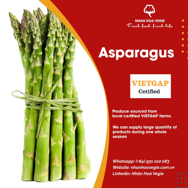 Vietnam Fresh Asparagus from 베트남 supplied by Nhân Hoà Vegie - 크기: >20(=20보다 큼=20+) 신선 아스파라거스