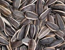 Sunflower Seed from 미국 supplied by L7 Trade Group - Dried 해바라기 씨