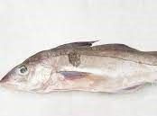 Fresh Haddock from Iceland supplied by Oddi - Fresh (=Chilled=Raw) Frozen Haddock