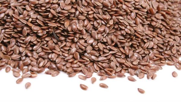 Flax Seed from Canada supplied by Paterson Grain - Whole Flax Seed