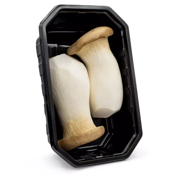 King Oyster Mushroom from 대한민국 supplied by Mitrofresh BV - Unspecified 신선 새송이버섯
