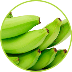 Banana from 콜롬비아 supplied by Baccota - Green 신선 바나나