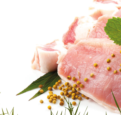 Fresh Pork from 오스트리아 supplied by Dachs Fleischveredelung GmbH - Cuts 신선 돼지고기 햄 및 목살