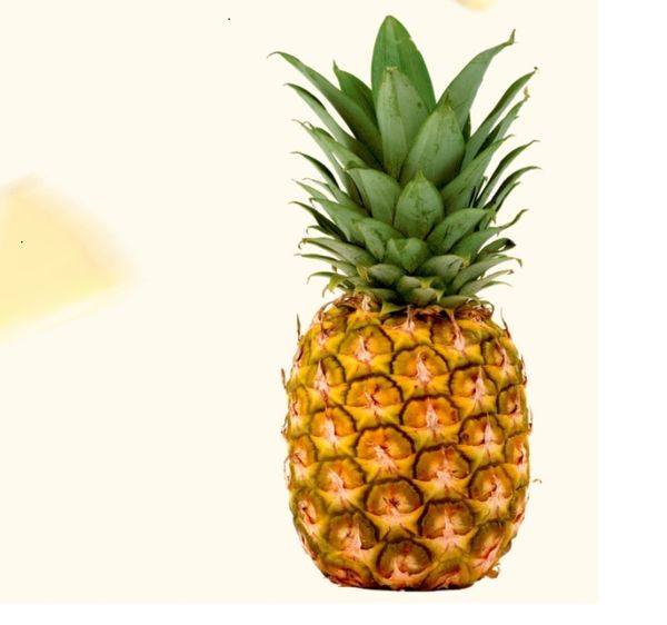 Pineapple from 브라질 supplied by Frutas Bonfim - 페롤라(=Pearl) 신선 파인애플