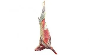 Goat from 폴란드 supplied by Ubojnia Starowiskitki - Whole (=Carcass) 산양육