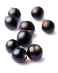 IQF Black currant from 폴란드 supplied by RUN-CHŁODNIA we Włocławku Sp. z o.o. - Black Currant 커런트