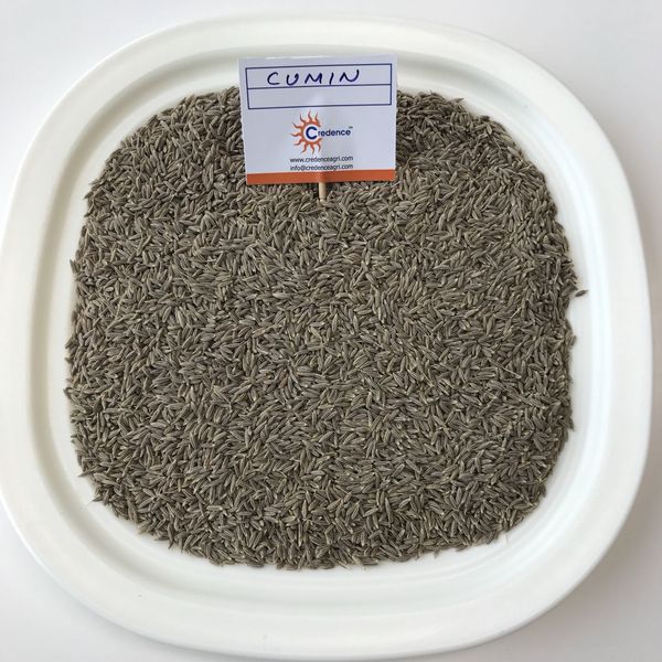 cumin seeds from 인도 supplied by Credence Agri Commodities Solutions Pvt. Ltd. - Brown 커민 씨
