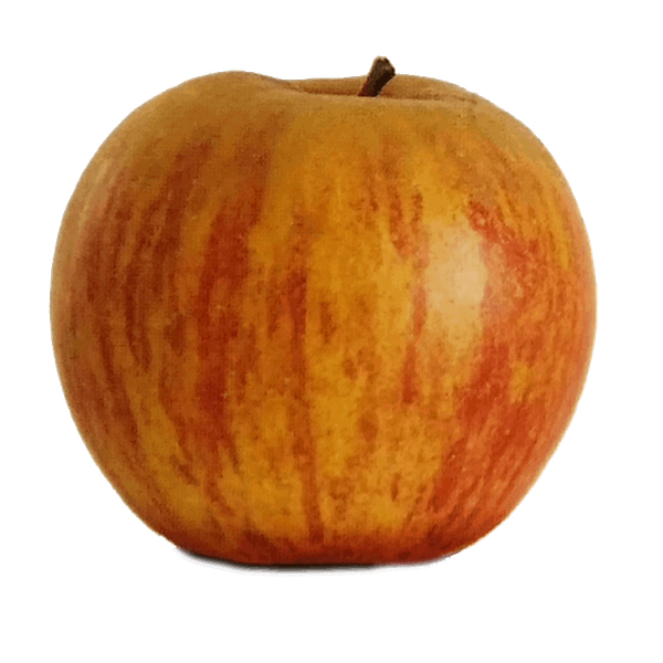 Fresh Apple from 프랑스 supplied by Vergers du Soleil Limousin - Queen 신선 사과