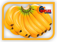 Cavendish Banana from South Africa supplied by Reflex Exporters Pty Ltd - Yellow - Ripe Fresh Banana
