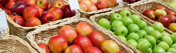 Fresh Apple from 독일 supplied by BB Brandenburger Obst GmbH - Belle de Boskoop 신선 사과