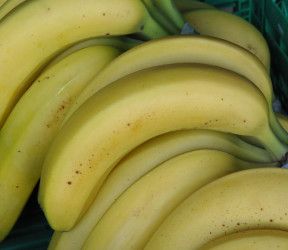 Fresh Banana from Switzerland supplied by Fam. Gfeller - Yellow Fresh Banana