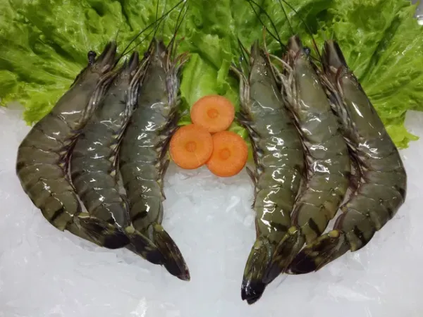 Black Tiger Shrimp from 인도네시아 supplied by PT. Bonanza Pratama Abadi - Nobashi Ebi 냉동 새우