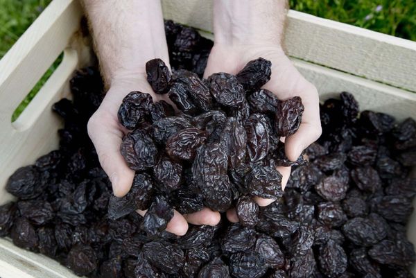 Dried Prunes from United States supplied by SACRAMENTO PACKING, INC. - PP Bags (25kg) Prune