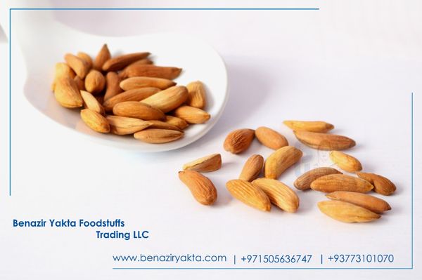 Shelled Almond from Afghanistan supplied by Benazir Yakta Trading Company - Shelled (=Kernel) Almond Kernel