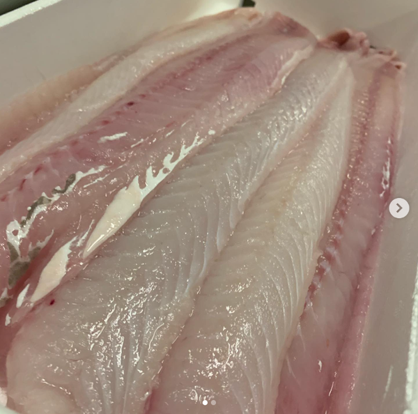 Ling Fillet from United Kingdom supplied by Jack Fish Company - Frozen Frozen Ling