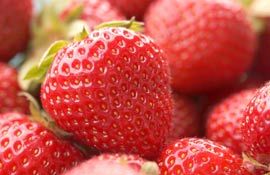 Fresh Strawberries from Portugal supplied by GoodGreen - Fresh (=Chilled) Fresh Strawberry