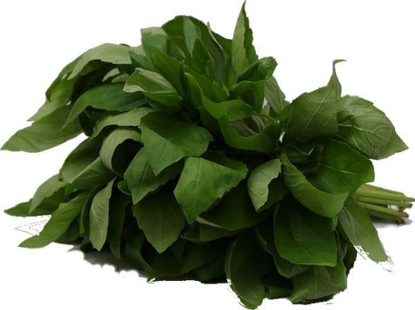 Basil from Kenya supplied by Taste Kenya Exporters Ltd - Green Basil