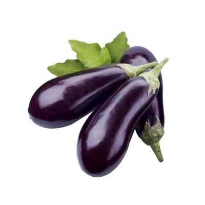 Eggplant from 스페인 supplied by ECOSUR - Purple (=Violet) 가지