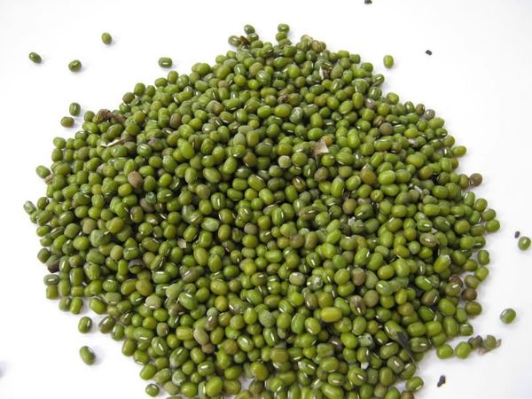 Green Mung Bean from 에티오피아 supplied by Anley Alemu Seyoum - Machine Cleaned 말린 녹두