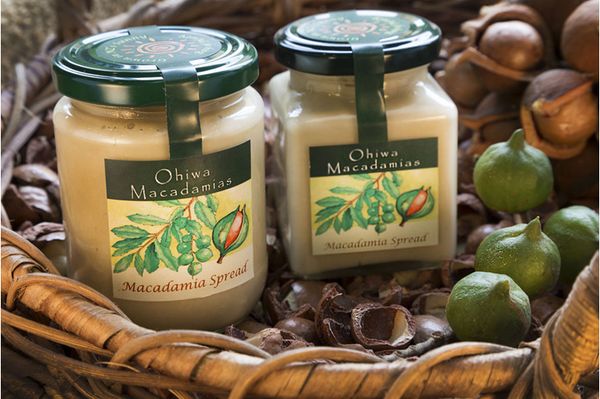 Macadamia Spread from 뉴질랜드 supplied by Ohiwa Macadamias Limited - Conventional 스프레드