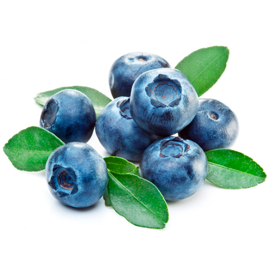 Blueberries from 칠레 supplied by EXPORTADORA SAN CLEMENTE S.A. - Highbush - Biloxi 신선 블루베리