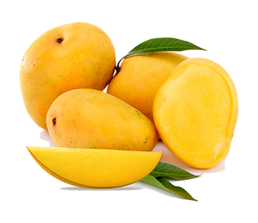 Fresh Mango from Israel supplied by Mor International (K.B.) Ltd. - Fresh (=Chilled) Fresh Mango