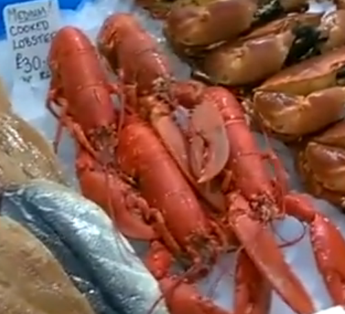 Cooked Lobster from 영국 supplied by Severn & Wye Smokery Ltd - 하드쉘 신선 랍스터