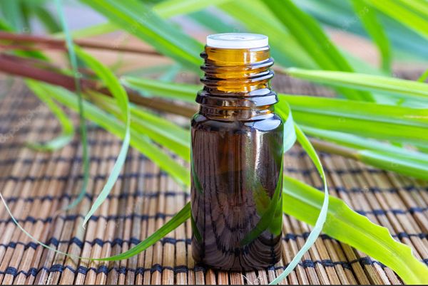 Palmarosa oil from 우간다 supplied by Pearl Of Africa Oil & Nut Company - High Quality RBD 팜유