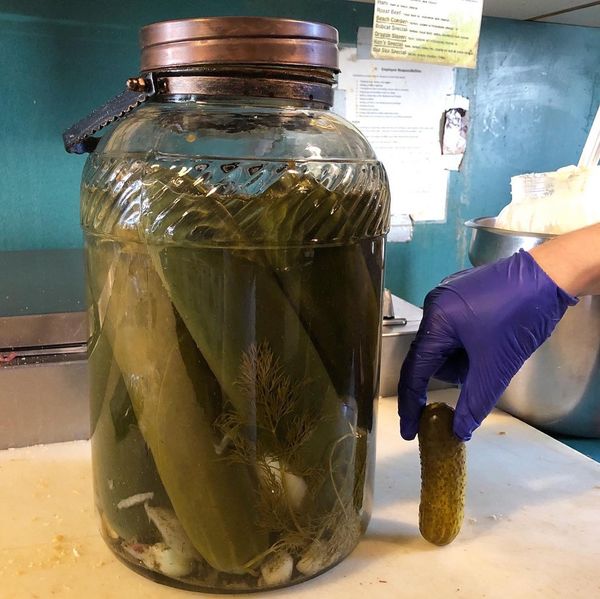 Value Added Cucumber from 미국 supplied by Pickle Barrel - Whole 오이 가공품