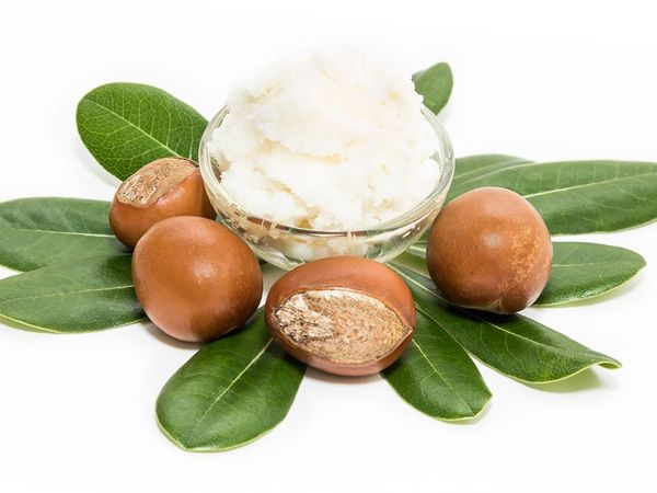 Shea Butter from 나이지리아 supplied by Selag Investments Inc. - Unrefined 시어 버터