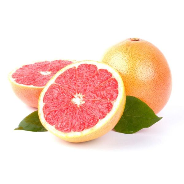 Grapefruit from 이집트 supplied by Egypt Valley Co. - 24/28/30/36/48/56/64/72 신선 자몽